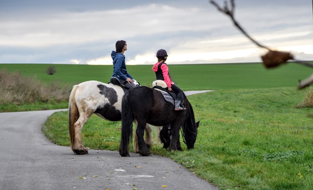 Fotogalerie jkvaltice